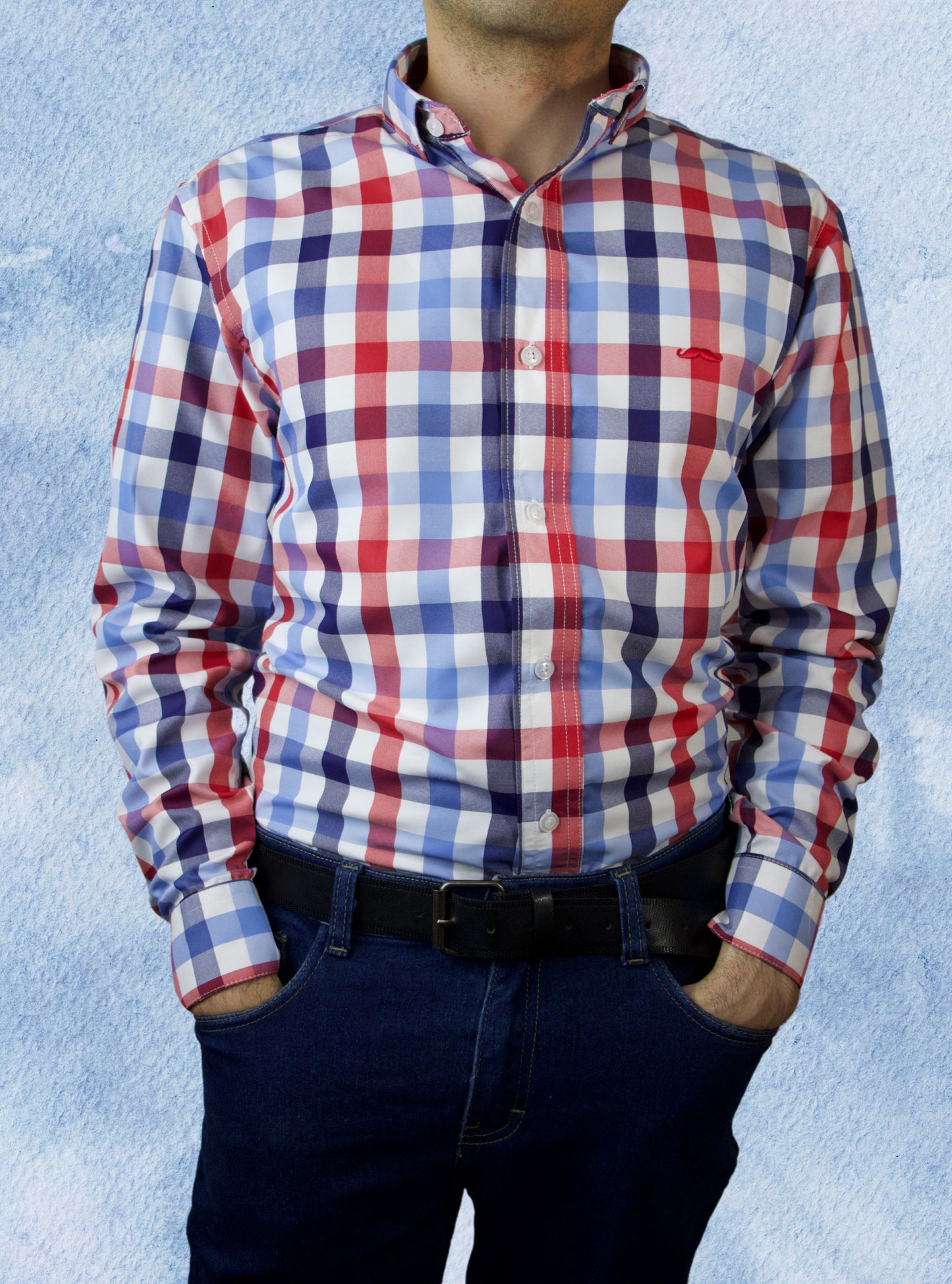 Camisa slim fit - Cuadro azul y rojo